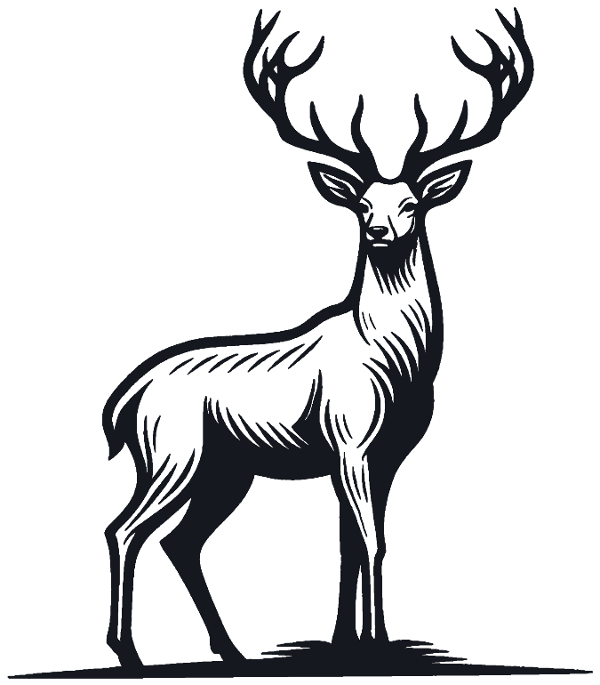 Deerwood Poetics deer